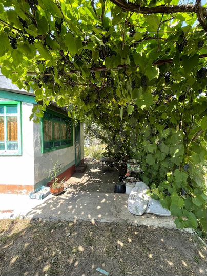 Дача 24 м² на участке 12 сот.