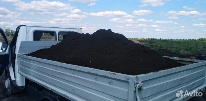 Чернозём плодородный