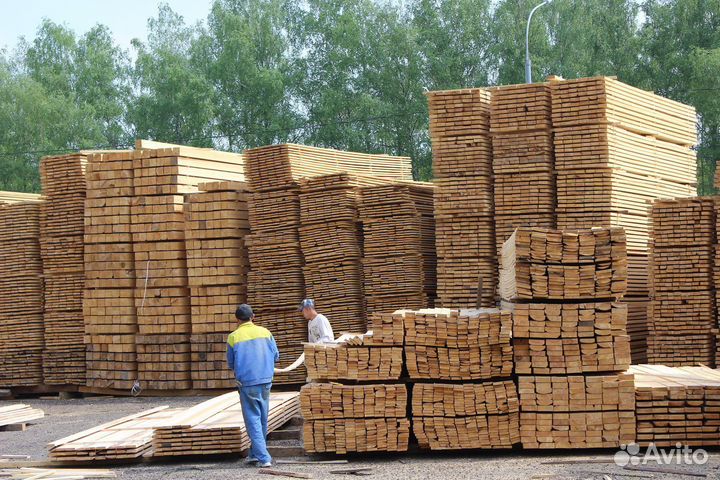 Пилорамщик