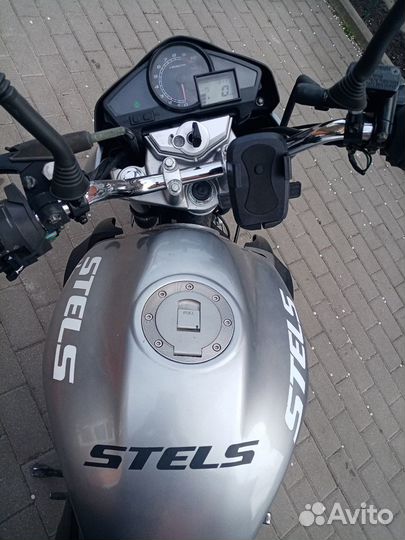 Stels flex 250