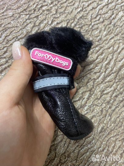 Обувь для собак мелких пород новые