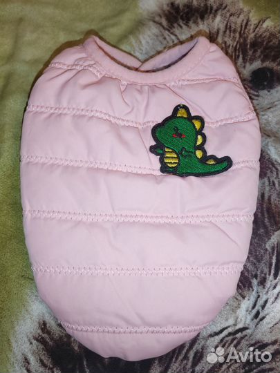 Одежда для маленьких собак xs