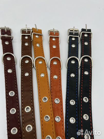 Ошейники для собак