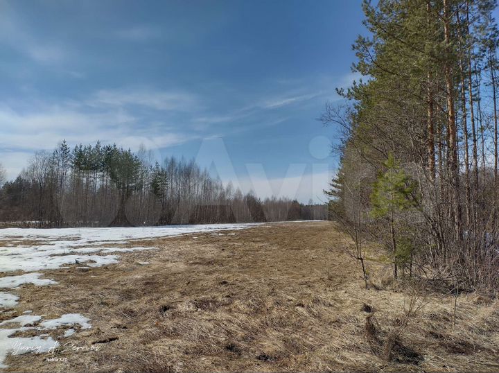 Участок 1,2 га (ИЖС)