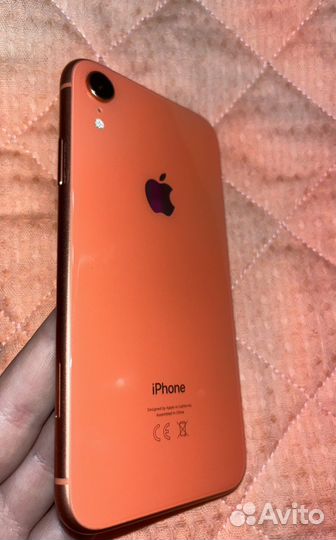 iPhone xr