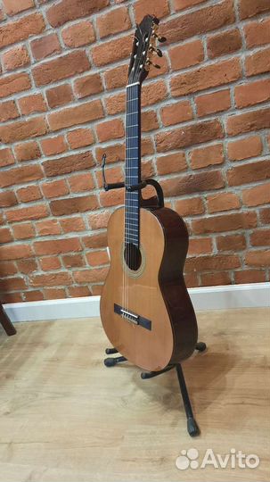 Классическая гитара Ibanez