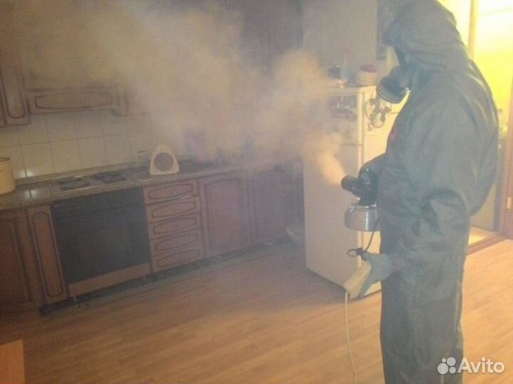 Уничтожение тараканов клопов грызунов дезинфекция