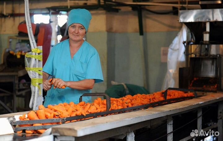 Рабочий на чистку и резку овощей с обедами от комп