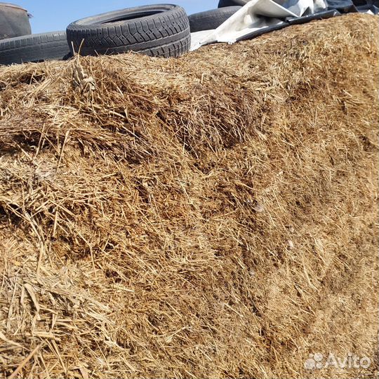 Силос сенаж