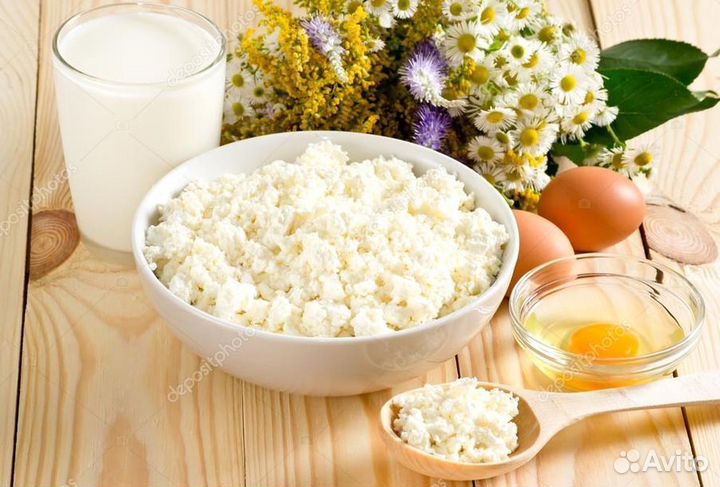 Творог Оптом