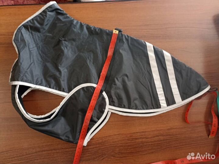 Новая попона hunter, Германия