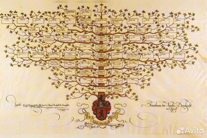 Исследование истории семьи