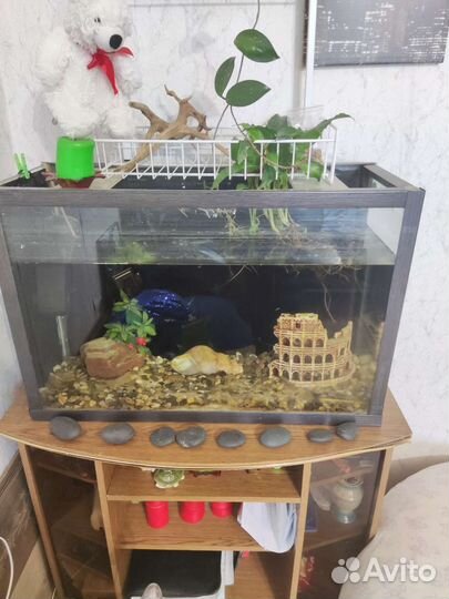 Аквариум