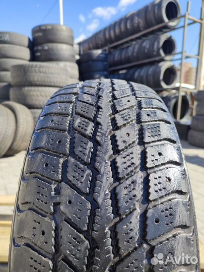 Roadstone Winguard 231 195/55 R15 85T