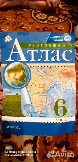 Тетради история, география,отдам за вкусняшки