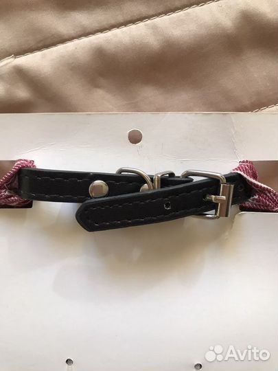 Ошейник для животных