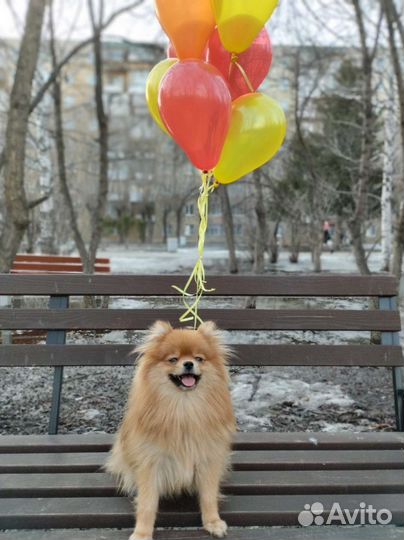 Воздушные шары с гелием