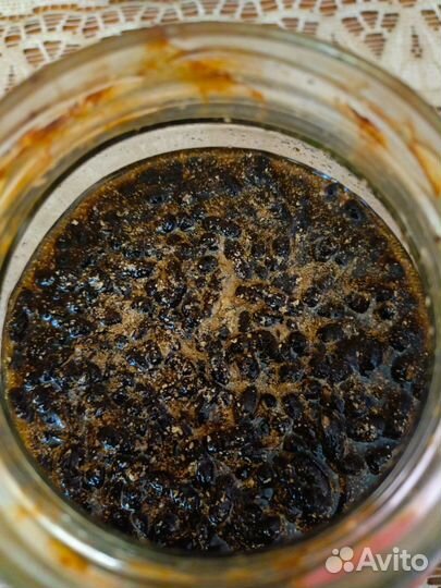 Пчелиный подмор