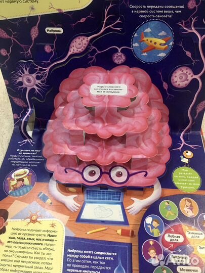 Книжка - панорамка