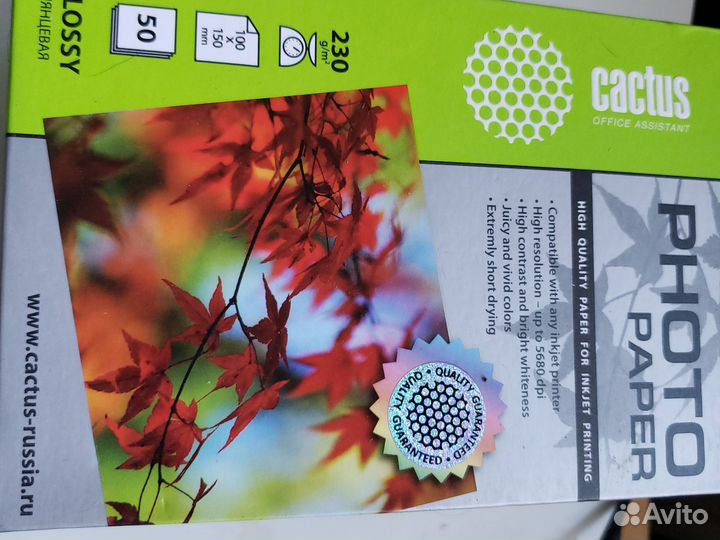 Фотобумага Cactus Glossy