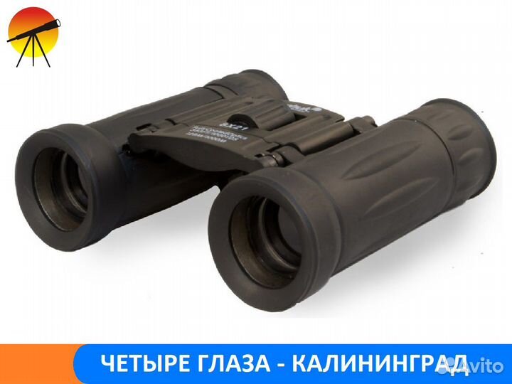 Бинокль Levenhuk Atom 8x21