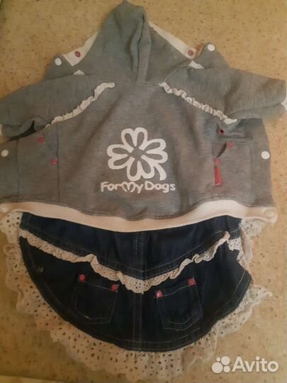 Костюм для собачки