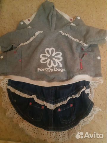 Костюм для собачки