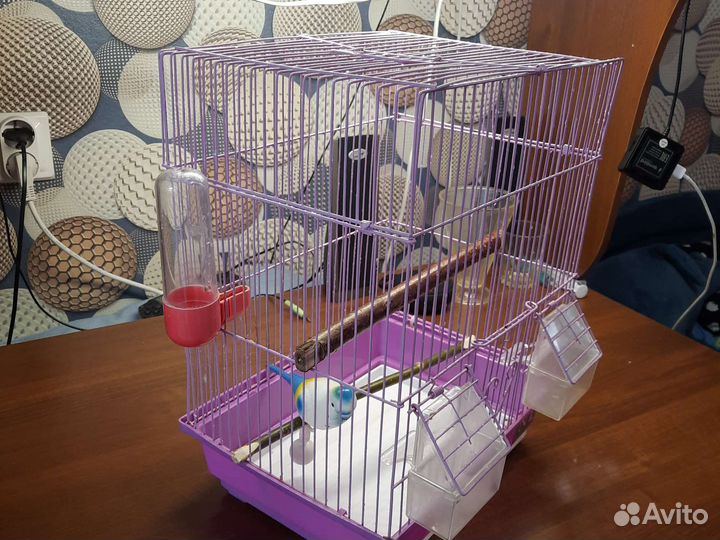 Клетка для попугая
