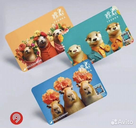 Коллекционные тройки москвариум