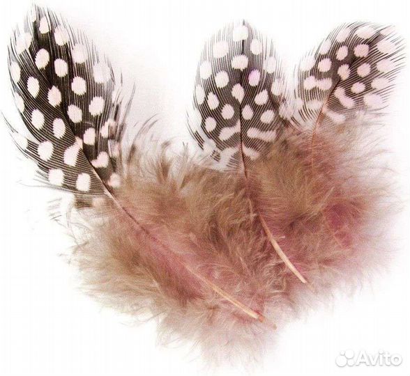 Перья, 80 шт