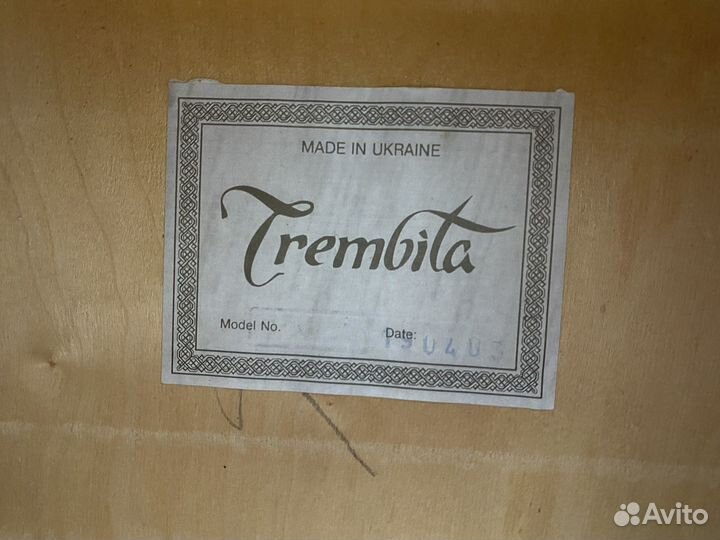 Гитара trembita