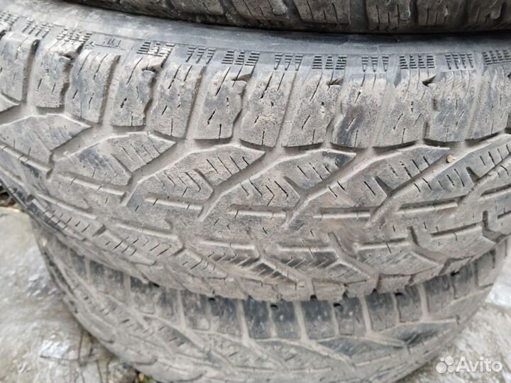 Tigar Winter 185/60 R15 88T