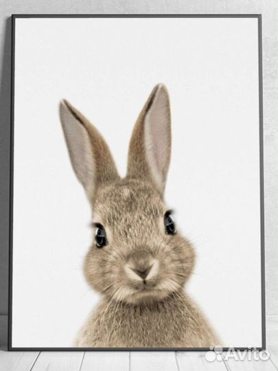 Постеры 30 на 40