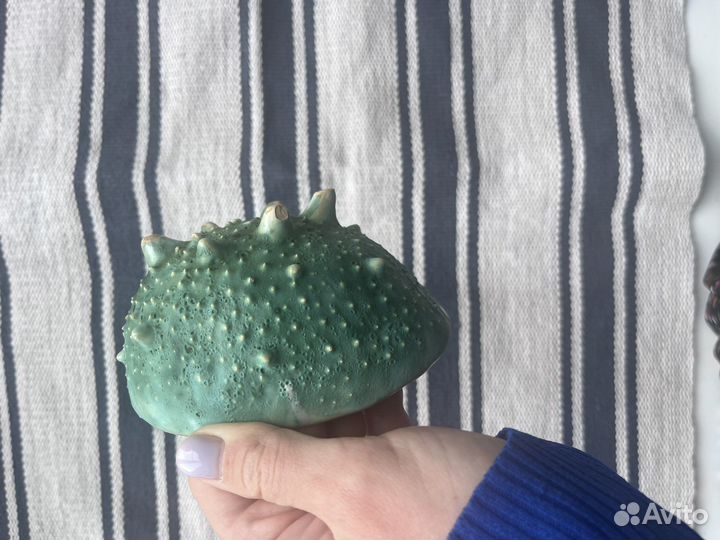 Глиняные тарелки