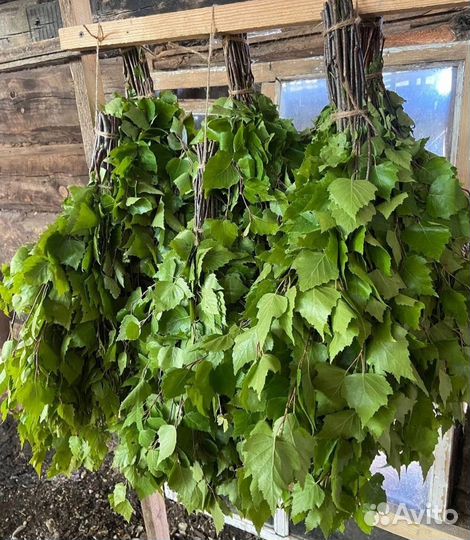 Веники для бани береза