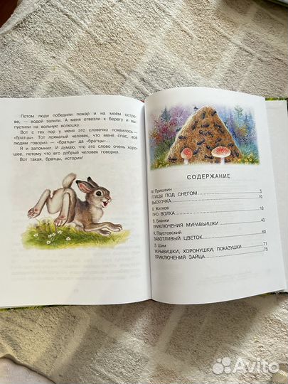 Детская книга сказки леса. Пришвин, Паустовский