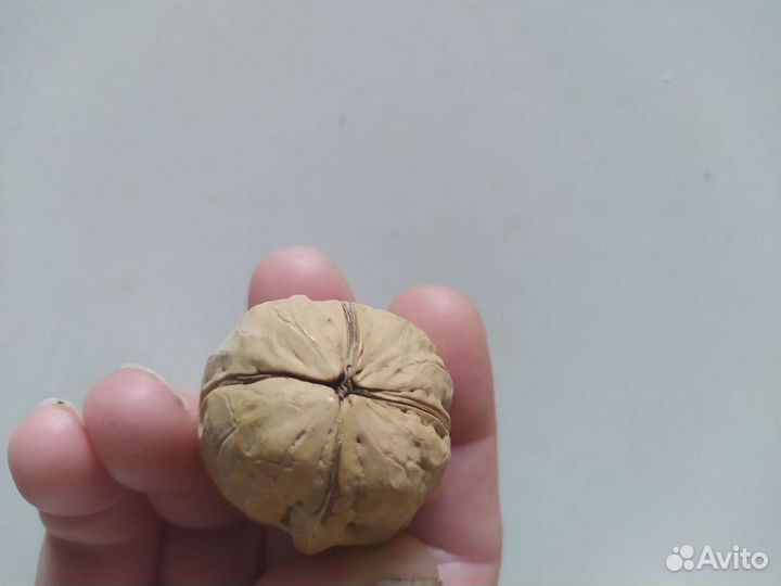 Орехи эксклюзивные