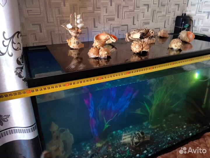 Аквариум