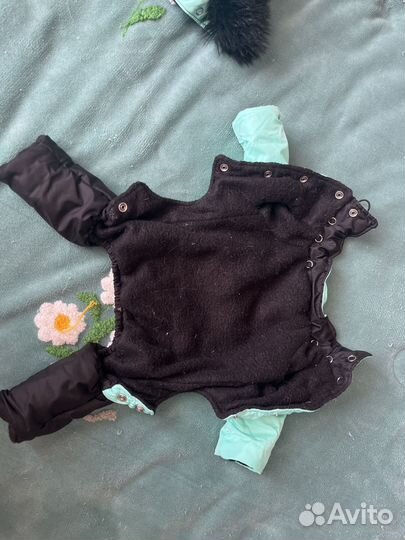 Одежда для собак