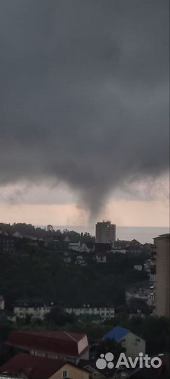 Автограф антона шастуна