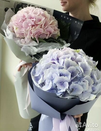 Букет цветов гортензия Казань