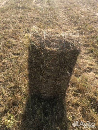 Сено солома в тюках