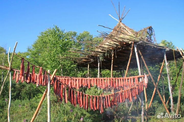 Камчатка. В Гости к Аборигенам