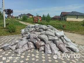 Кора сибирской листвиници