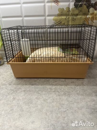 Клетка для грызунов бу