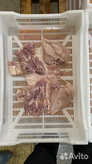 Куриная Шаурма «Халяль» гост