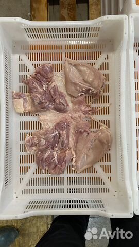 Куриная Шаурма «Халяль» гост