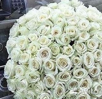 Розы Букеты Цветы Розы 31 101 151 201 Доставка