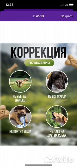 Ошейник для собак