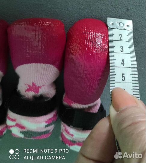 Обувь, носки для маленькой собачки